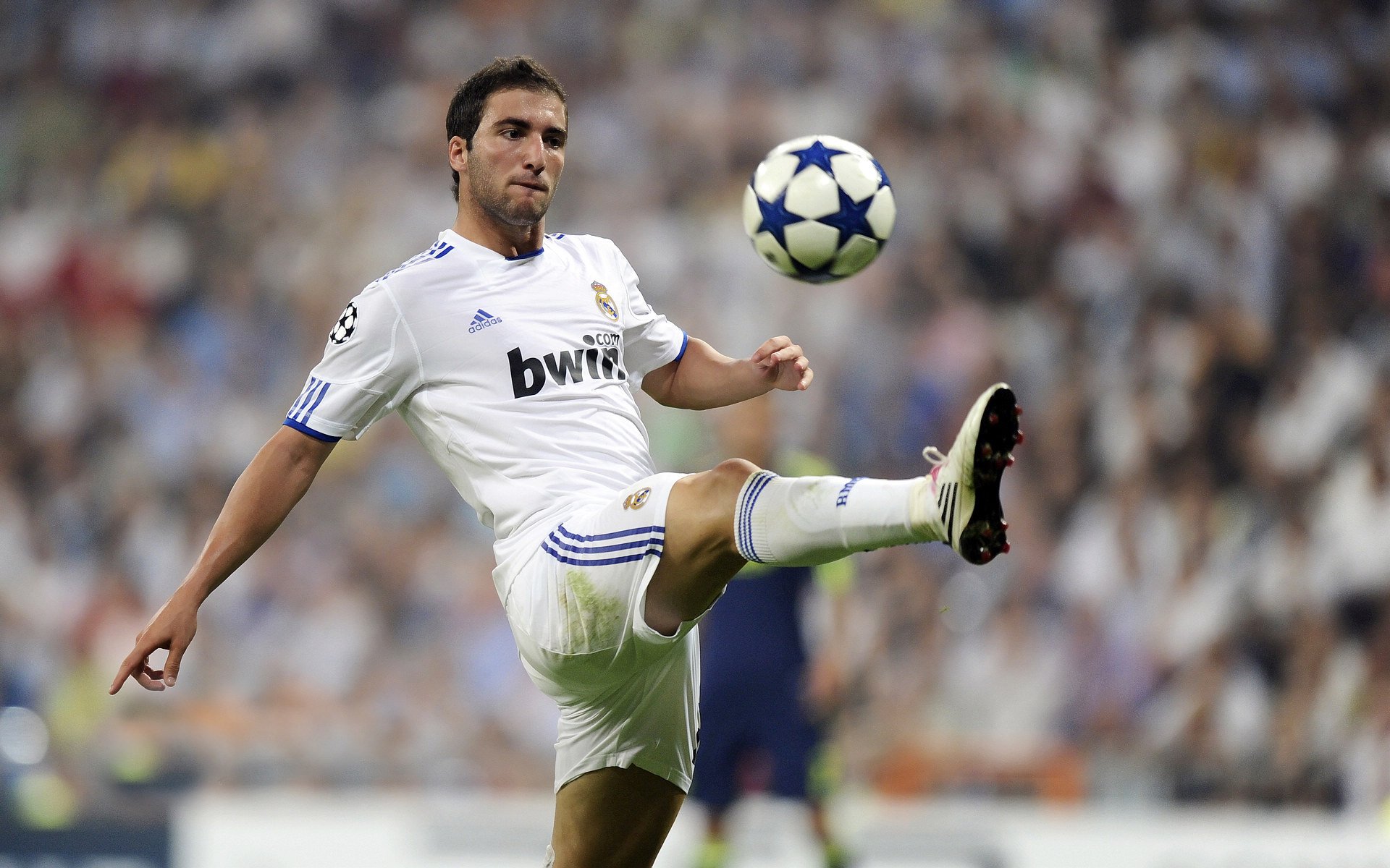 kaiyun-“霍斯特成为南非羚羊队的防守灵魂人物”